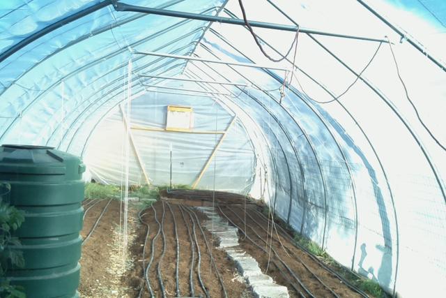 Hoophouse interior, bare soil with irrigation lines, October 2022